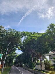 Turf Club Road (D11), Detached #480987791
